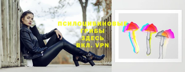 дмт Алексеевка