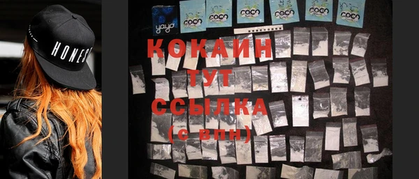 соль ск Алексин