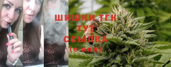 дмт Алексеевка
