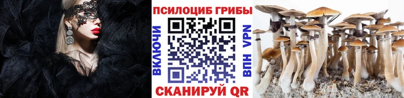 MEGA маркетплейс  Арск  Псилоцибиновые грибы ЛСД 